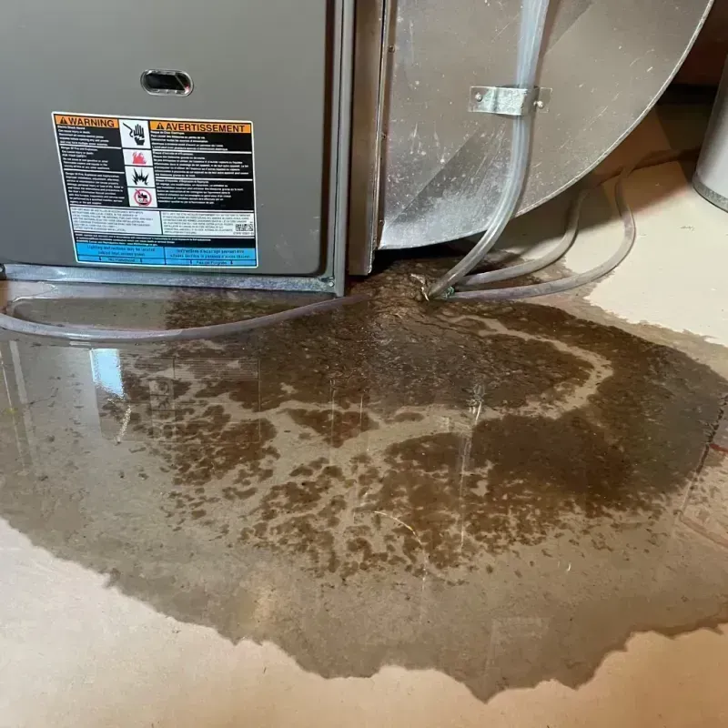 Appliance Leak Cleanup in Mammoth, AZ